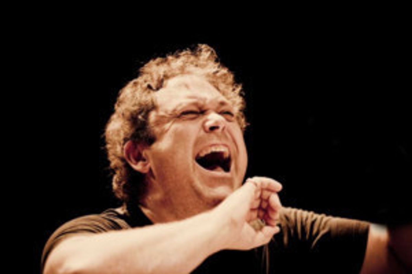 Handel And Haydn Society To Perform Beethoven Emperor Concerto    Image