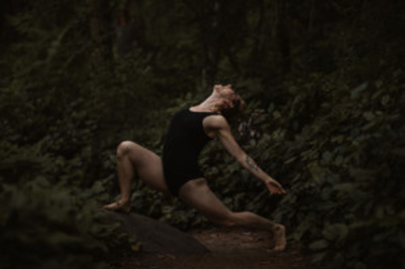 Velocity Presents THE MIDSUMMER  Image