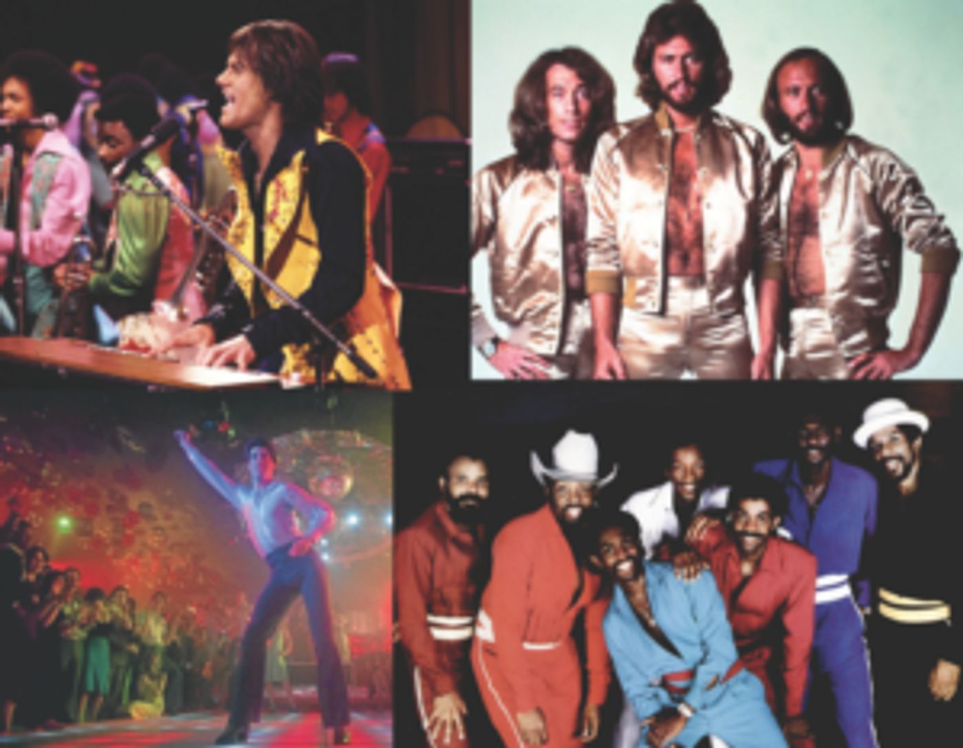 Boogie On Down To Flat Rock Playhouse for MUSIC ON THE ROCK: DISCO  Image