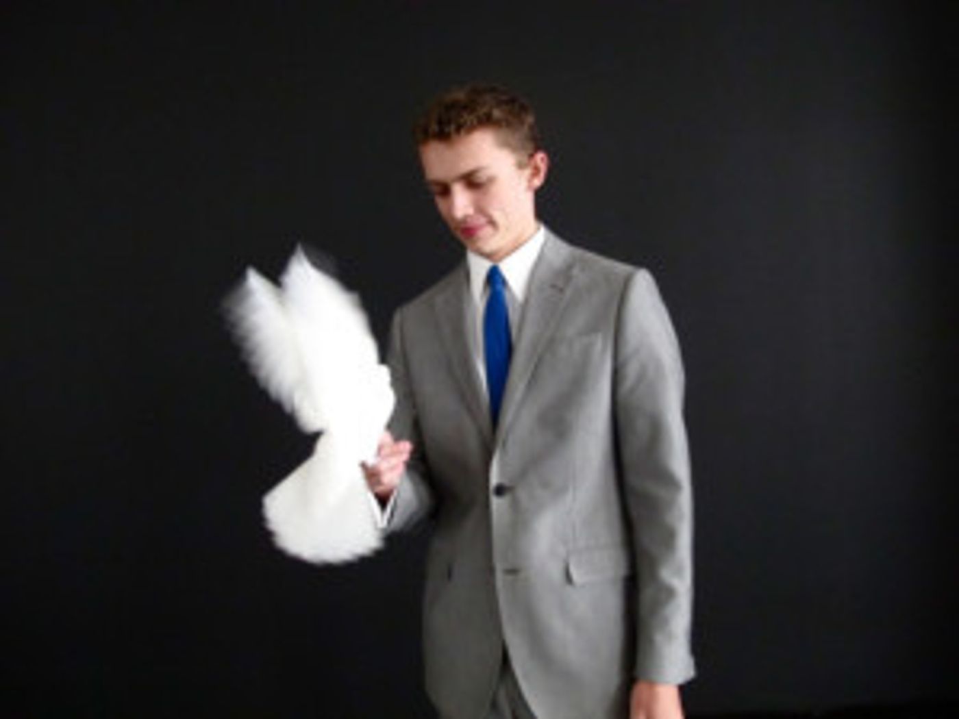 WONDERSHOW Set For Public Arts  Image