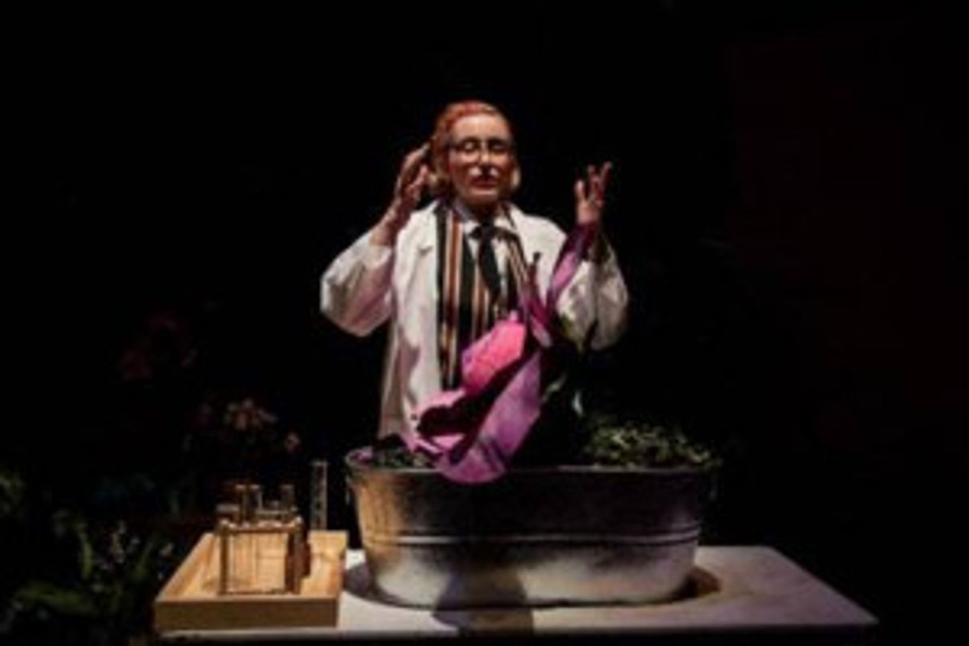 CCBC Presents Susan Glaspell's THE VERGE  Image