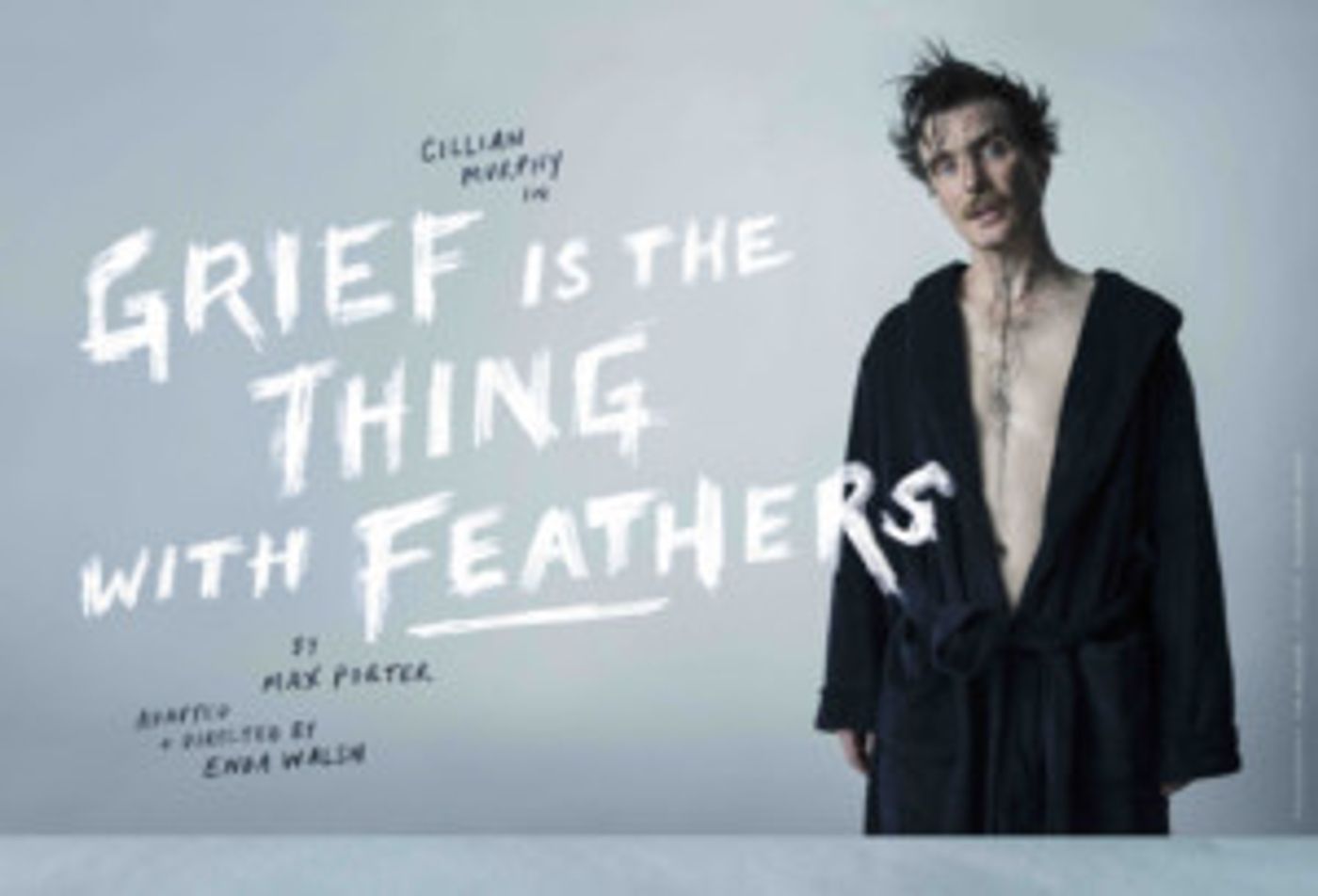 Wayward Productions Presents Enda Walsh's Adaptation Of Max Porter's Novel GRIEF IS THE THING WITH FEATHERS  Image