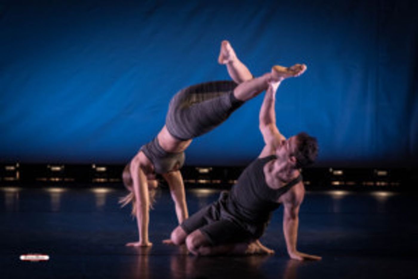 The Dance Gallery Festival Returns To NYC in November  Image