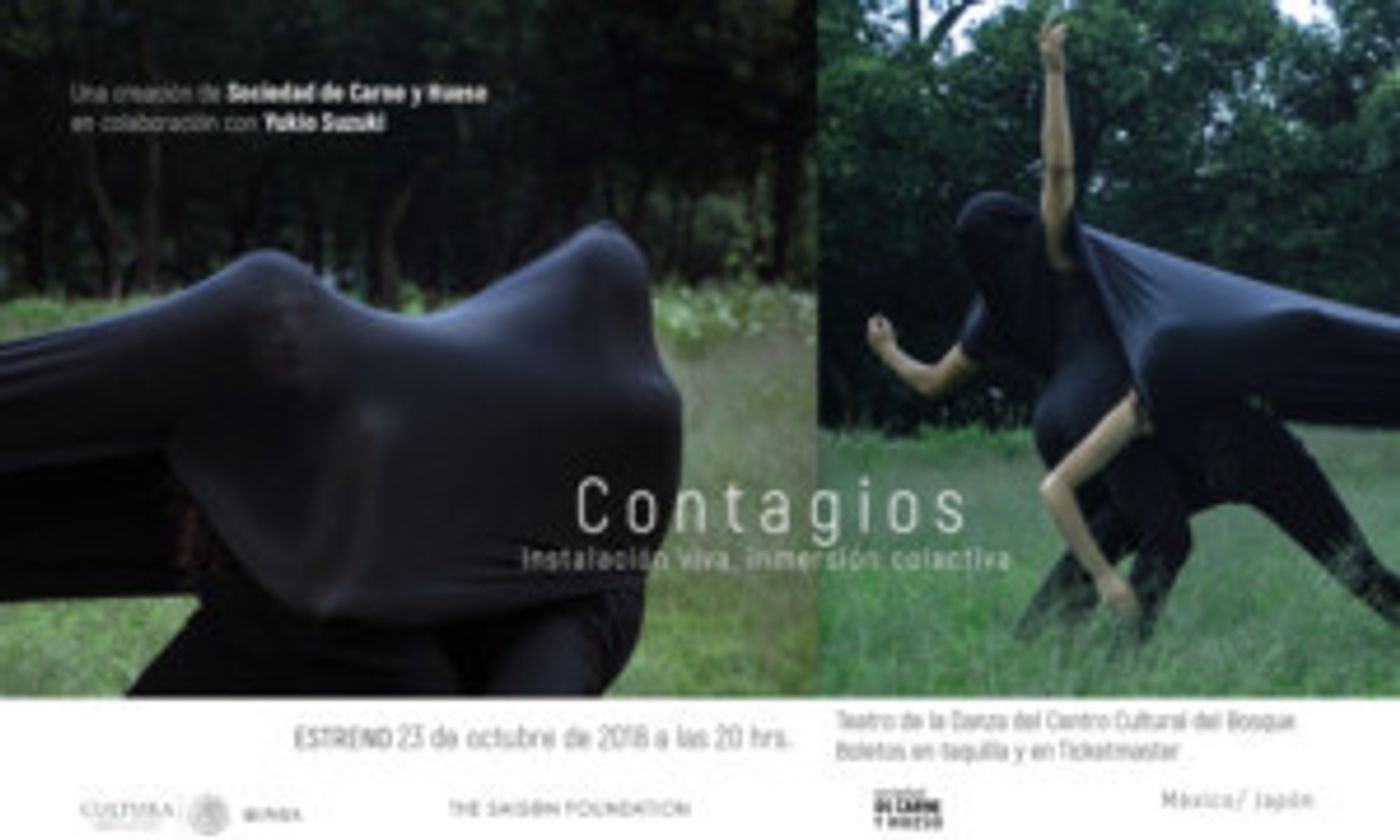 Cuerpos, Sonidos Y Luz Se Conjugan En Contagios –instalación Viva, Inmersión Colectiva  Image