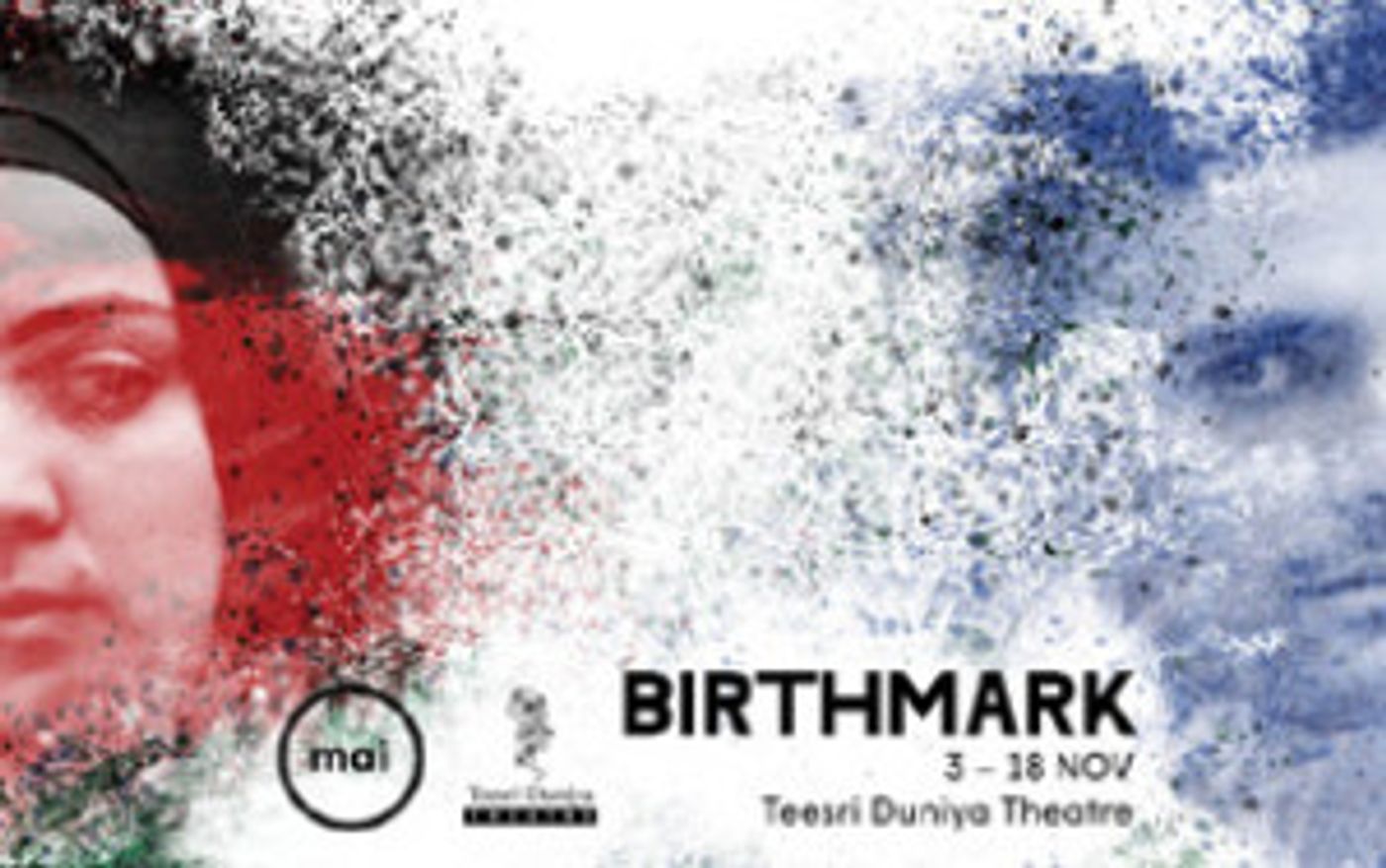 Thought-Provoking New Play, BIRTHMARK Comes to Teesri Duniya Theatre, 11/3  Image