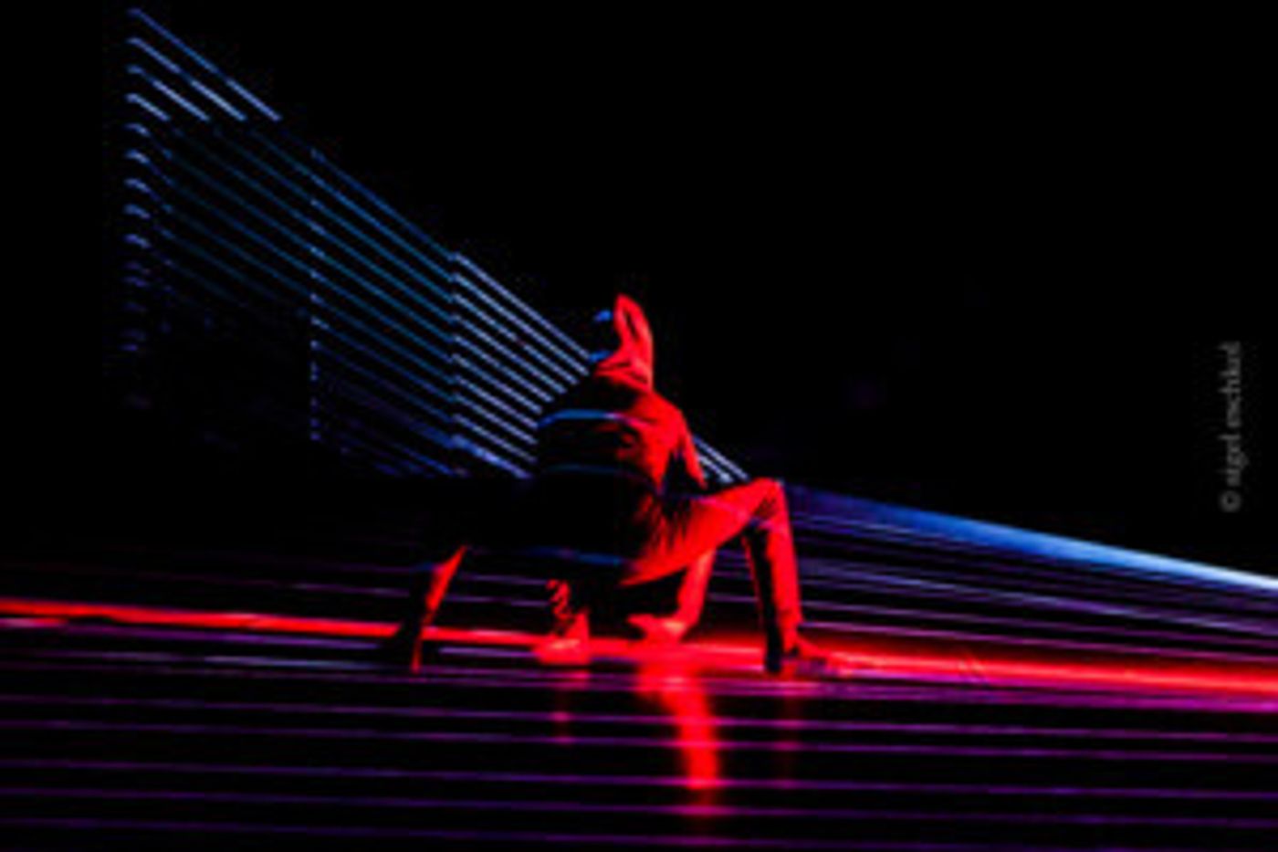 Christine Bonansea Company Presents The New York Premiere of ONLYHUMAN  Image