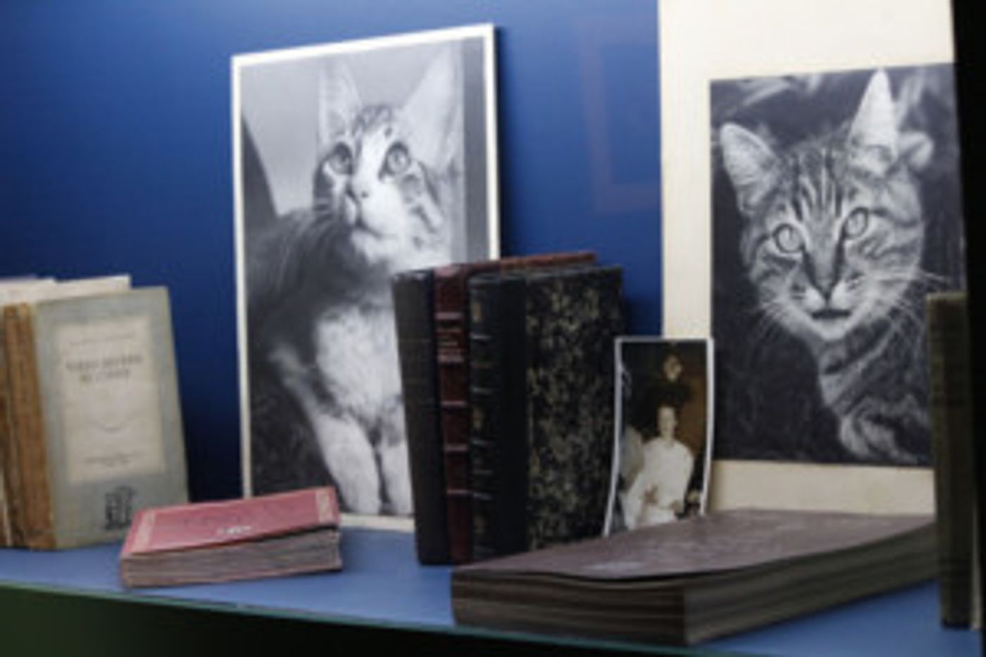 Una Aproximación íntima A La Vida De Remedios Varo Se Instalará En El MAM  Image