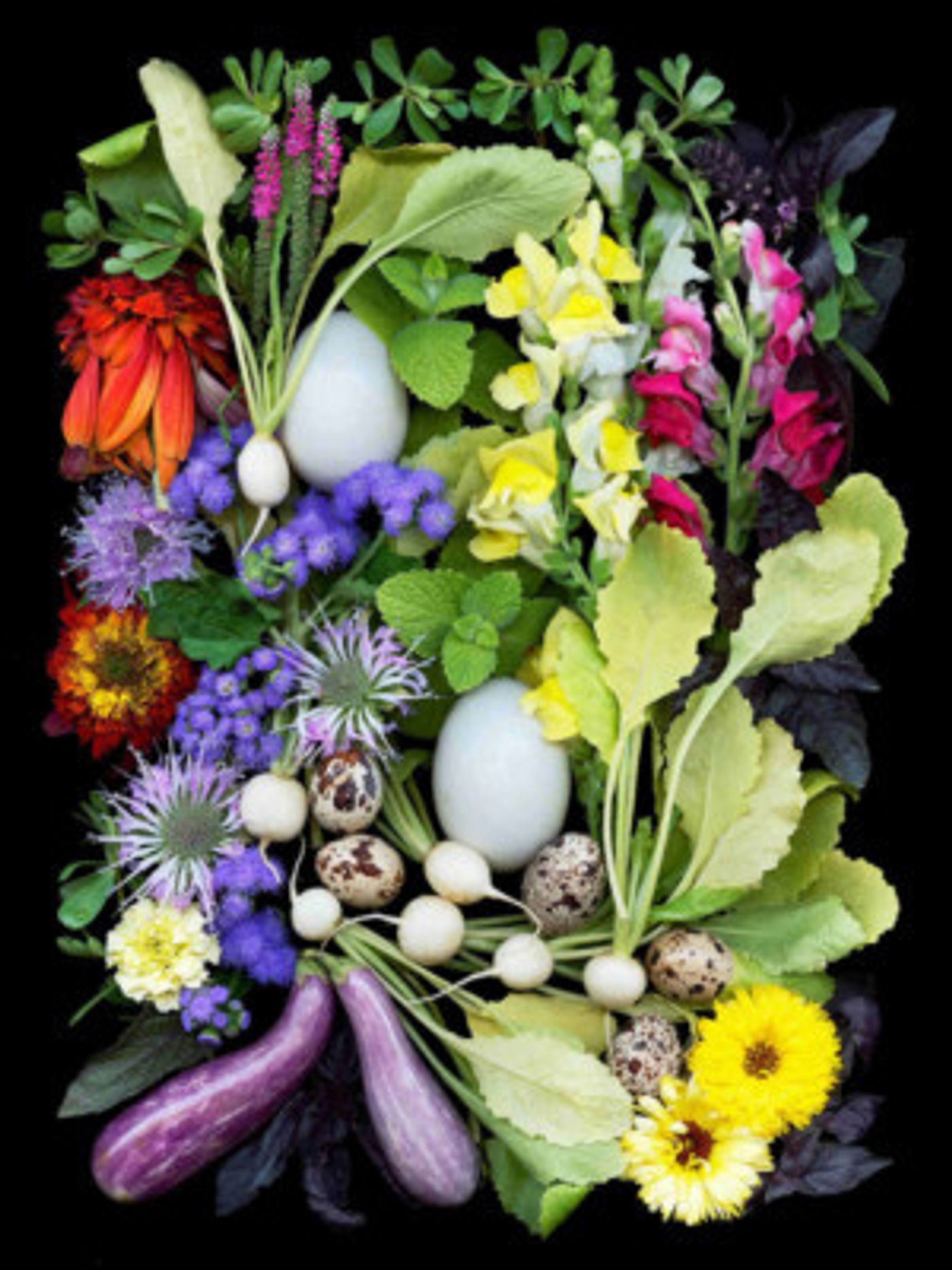 The Unique Art Of Ellen Hoverkamp Comes to The MAC  Image