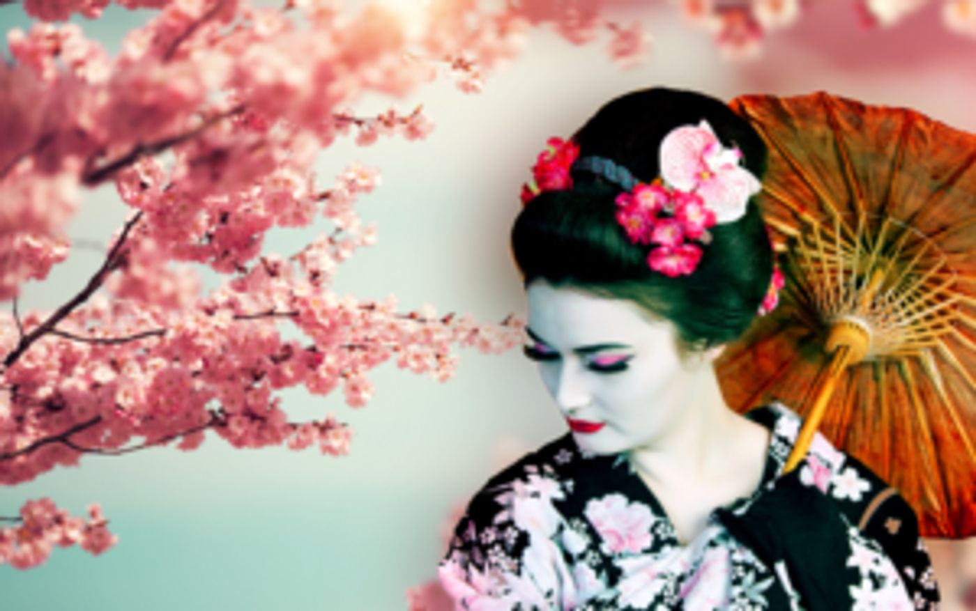 Opera Memphis Opens Season With MADAMA BUTTERFLY  Image