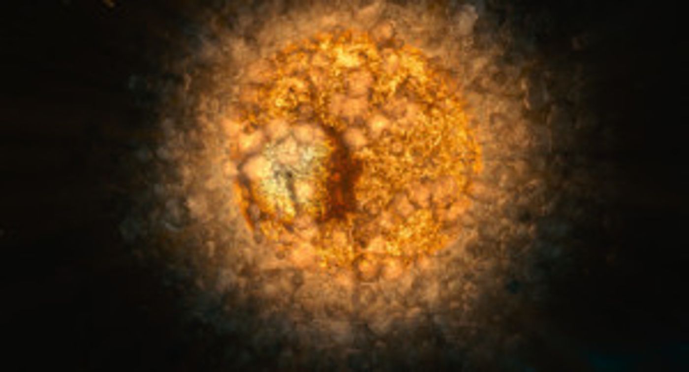 BAM And Wordless Music Present Terrence Malick's VOYAGE OF TIME  Image