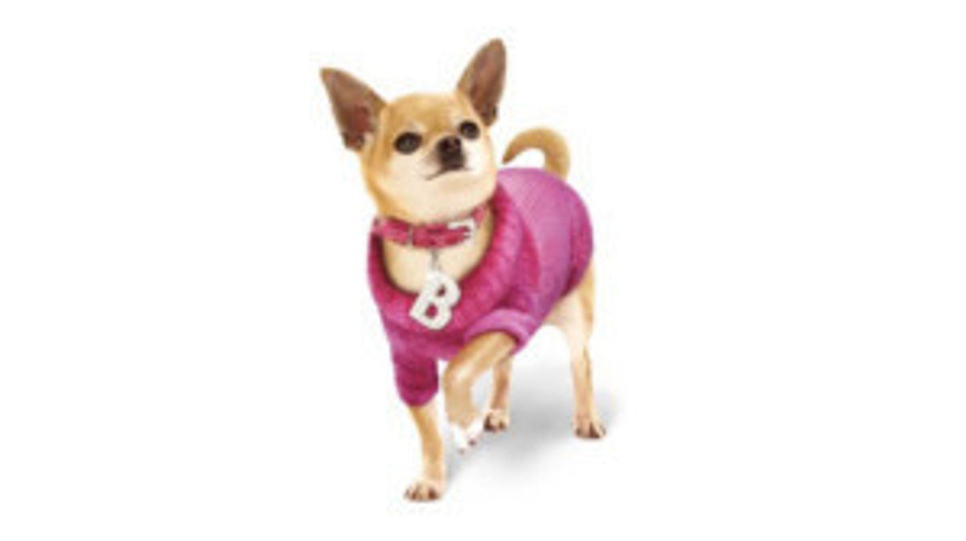 LEGALLY BLONDE Comes to The Everyman  Image