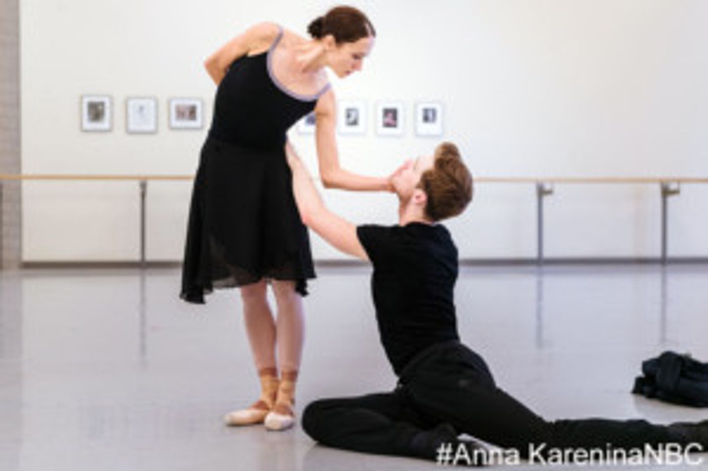 ANNA KARENINA Principal Casting Announced At National Ballet of Canada  Image