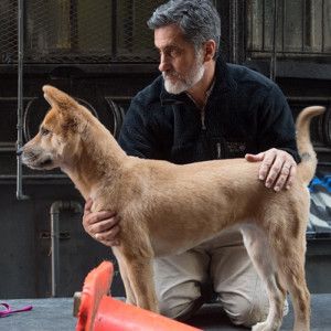 Dog Previously Destined For A Kill Shelter Lights Up Stage In ANNIE  Image