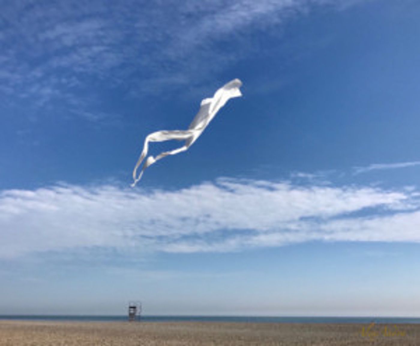 Gratitude And Joy Exhibit Comes to Bailey Contemporary Arts  Image