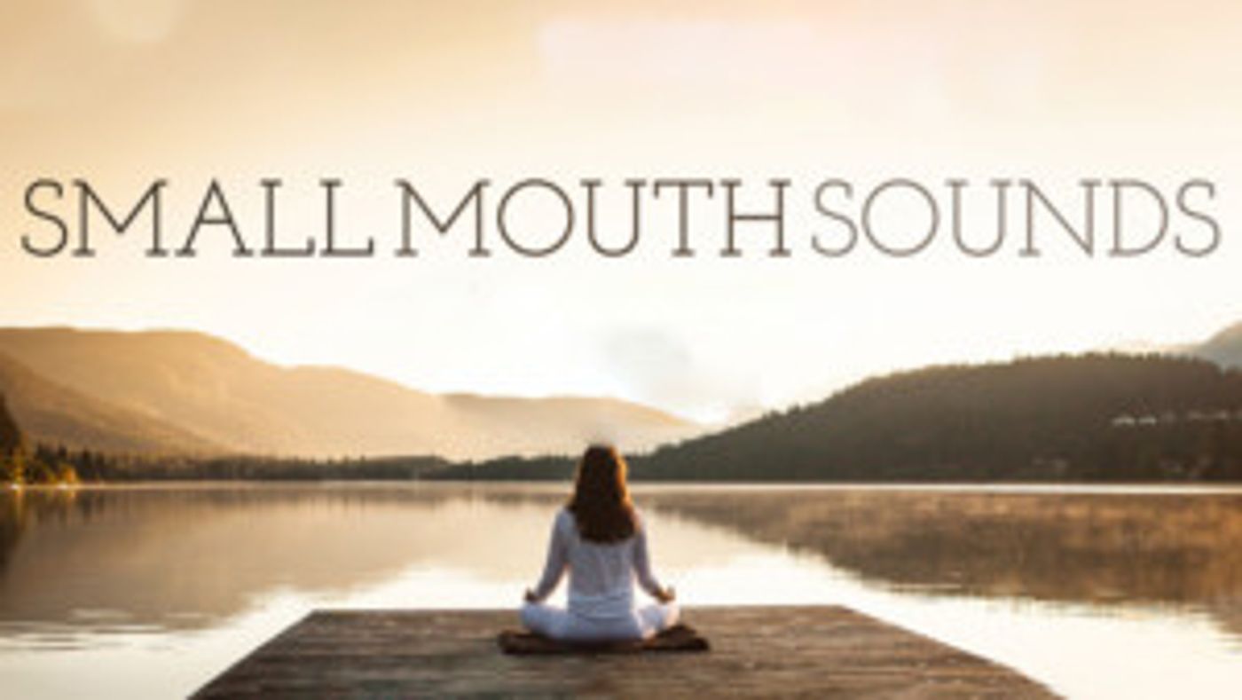 SpeakEasy Stage Announces SMALL MOUTH SOUNDS  Image