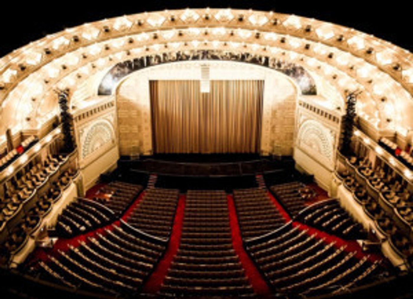 National Geographic Explorer Mireya Mayor Comes to The Auditorium This January  Image