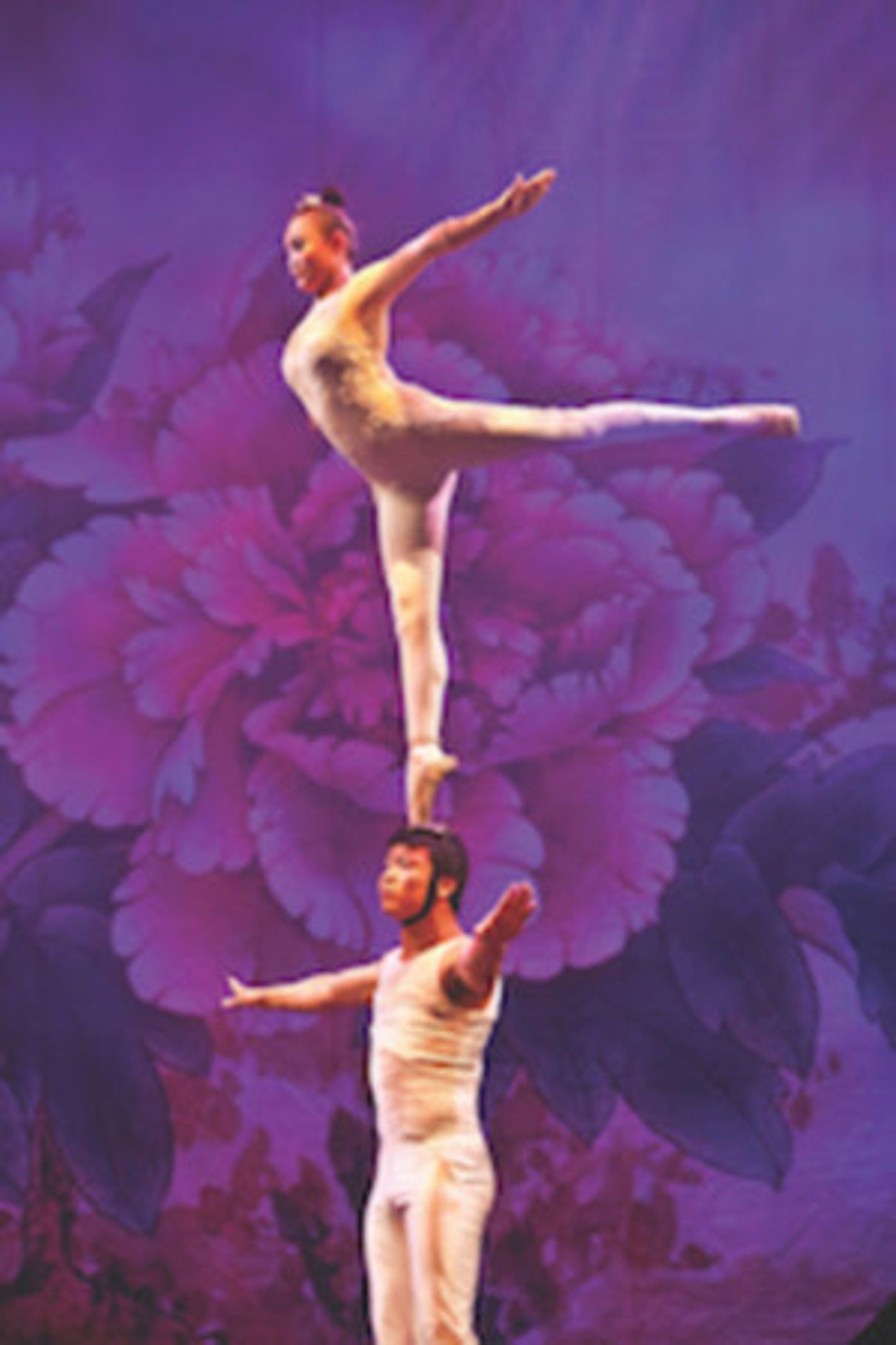 The Golden Dragon Acrobats Come to Popejoy Next Month  Image