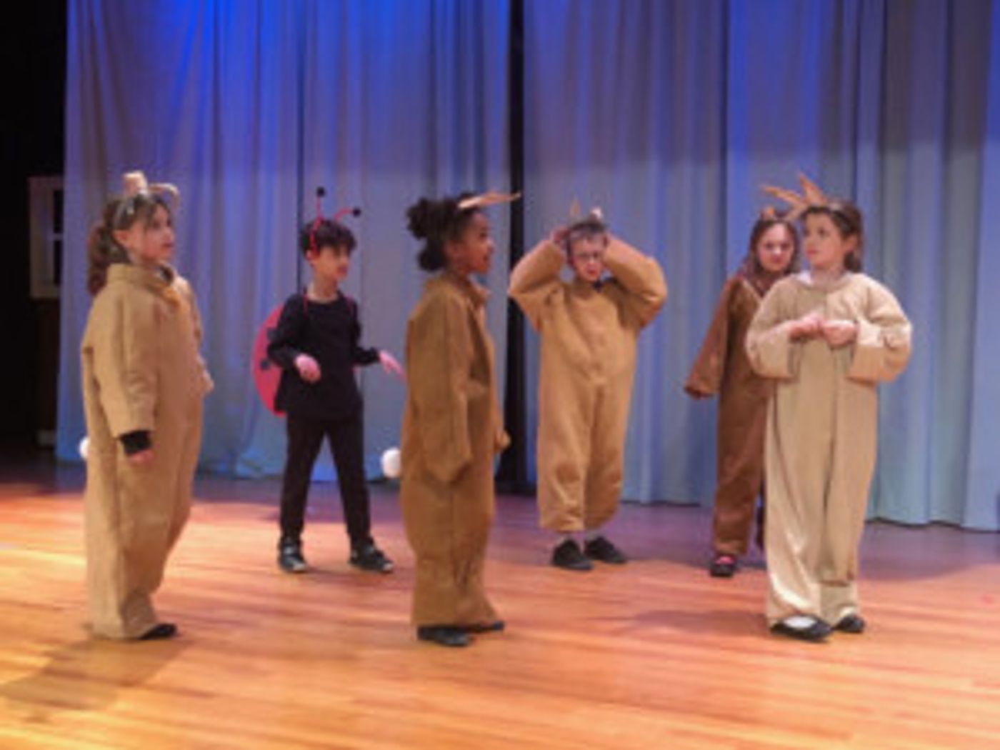 No Boundaries Youth Theater Stages THE VELVETEEN RABBIT  Image