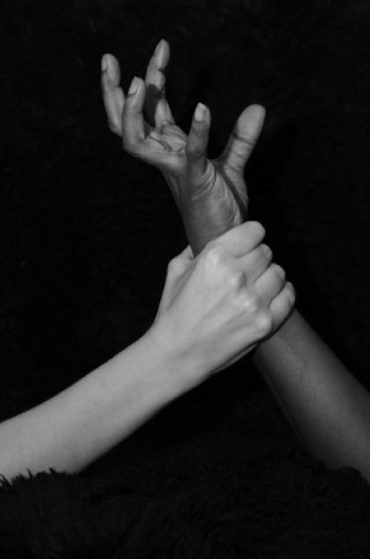 Consenting Bodies Reading Series Begins At Rec Room  Image