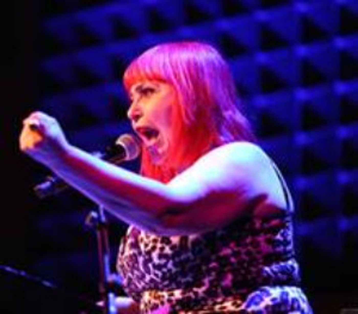 Bassem Youssef, Noche Flamenca, Meow Meow, The Chekhov Project & More Take Over Joe's Pub In January 2019  Image