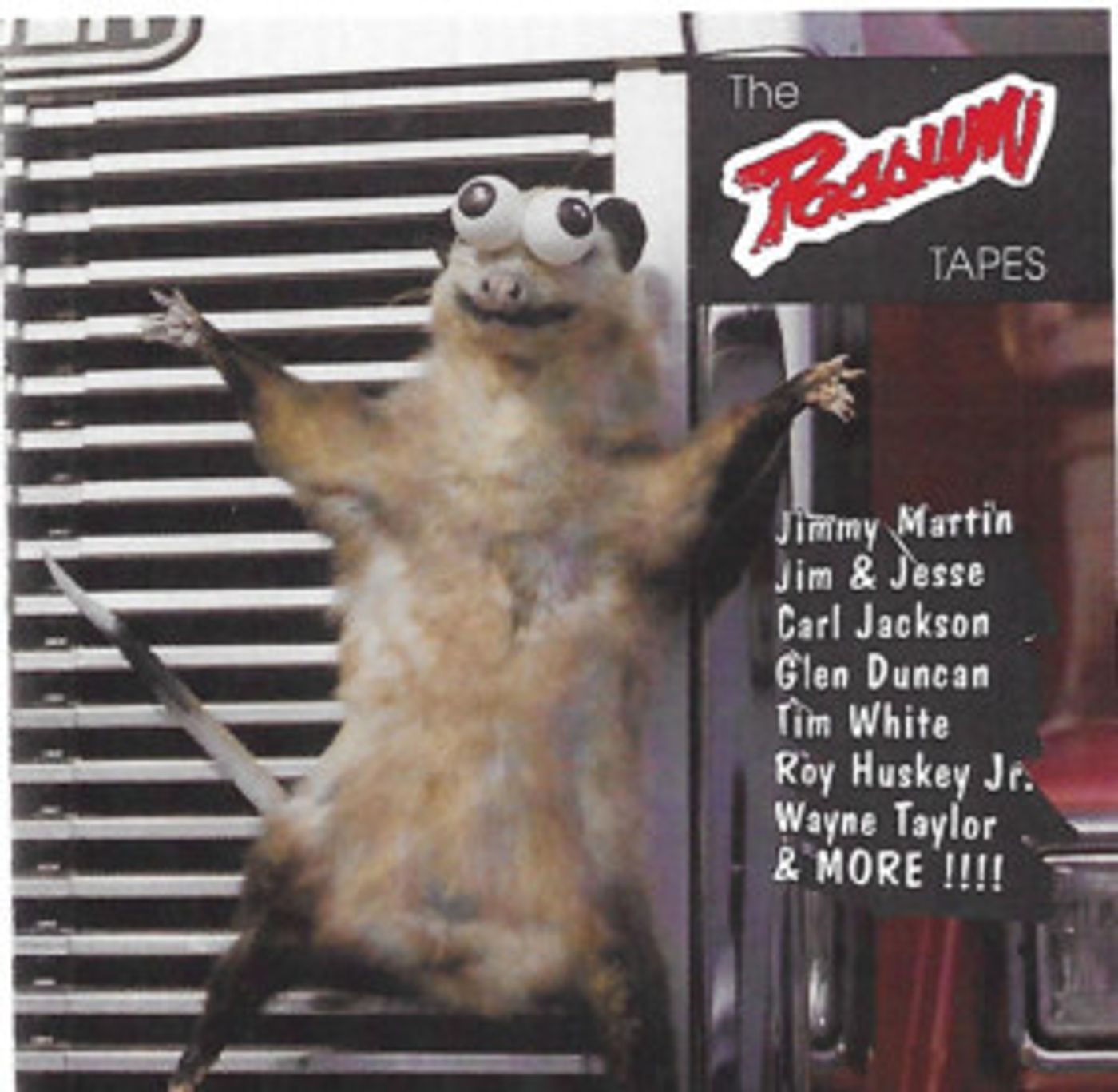 New Music Video Produced To Celebrate 'The Possum Tapes' Anniversary  Image