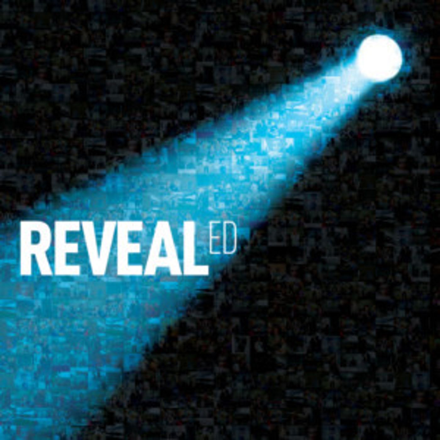 Prime Cut Productions Presents REVEAL-ED, A Three-Day Showcase Of New Work From Northern Irish Artists  Image