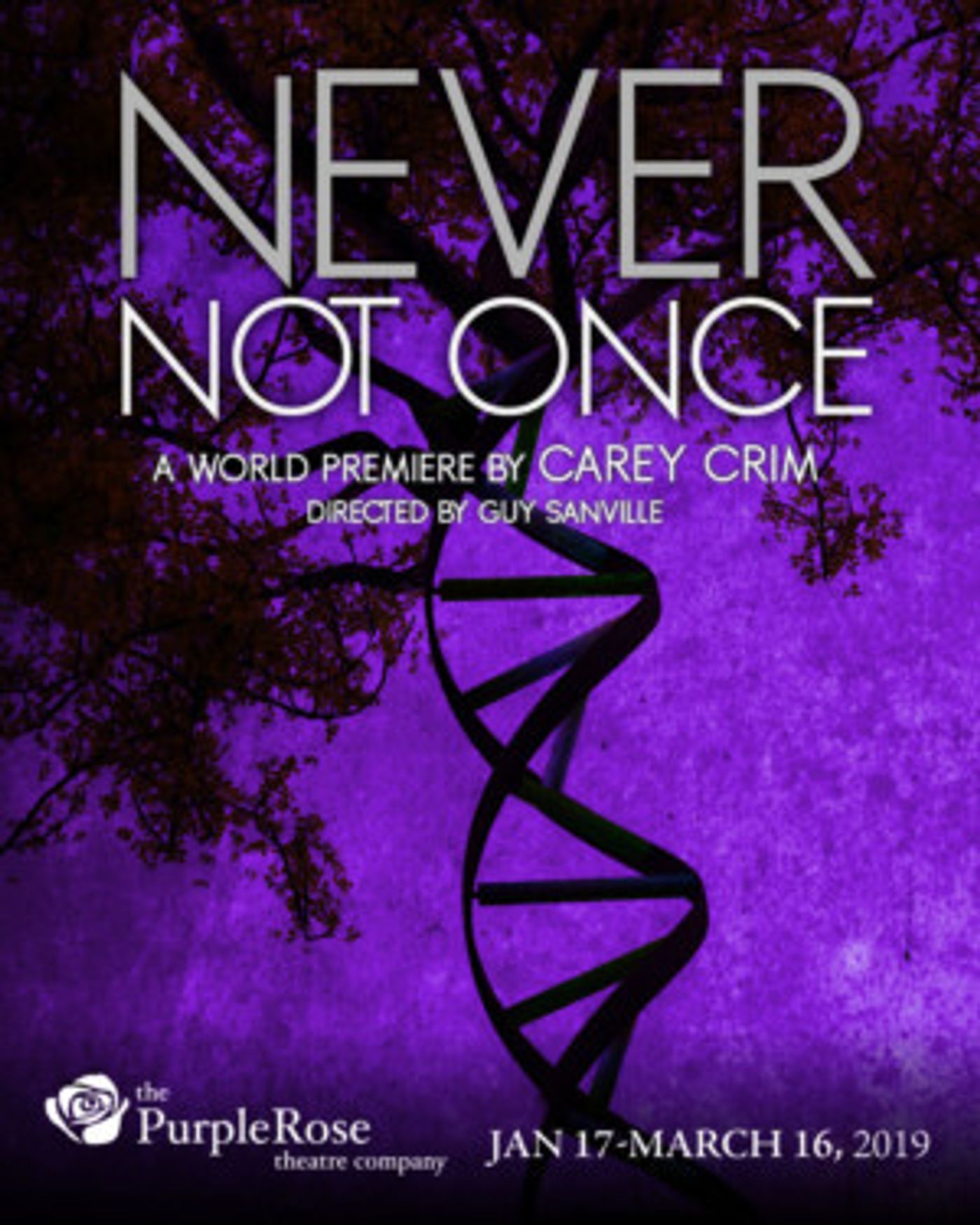 NEVER NOT ONCE Makes World Premiere at Purple Rose Theatre Company  Image