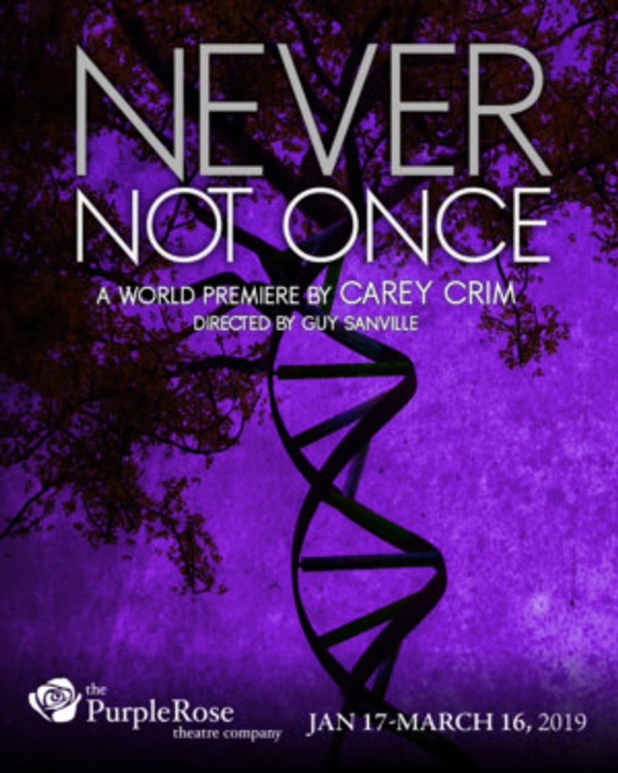 NEVER NOT ONCE Makes World Premiere at Purple Rose Theatre Company Image