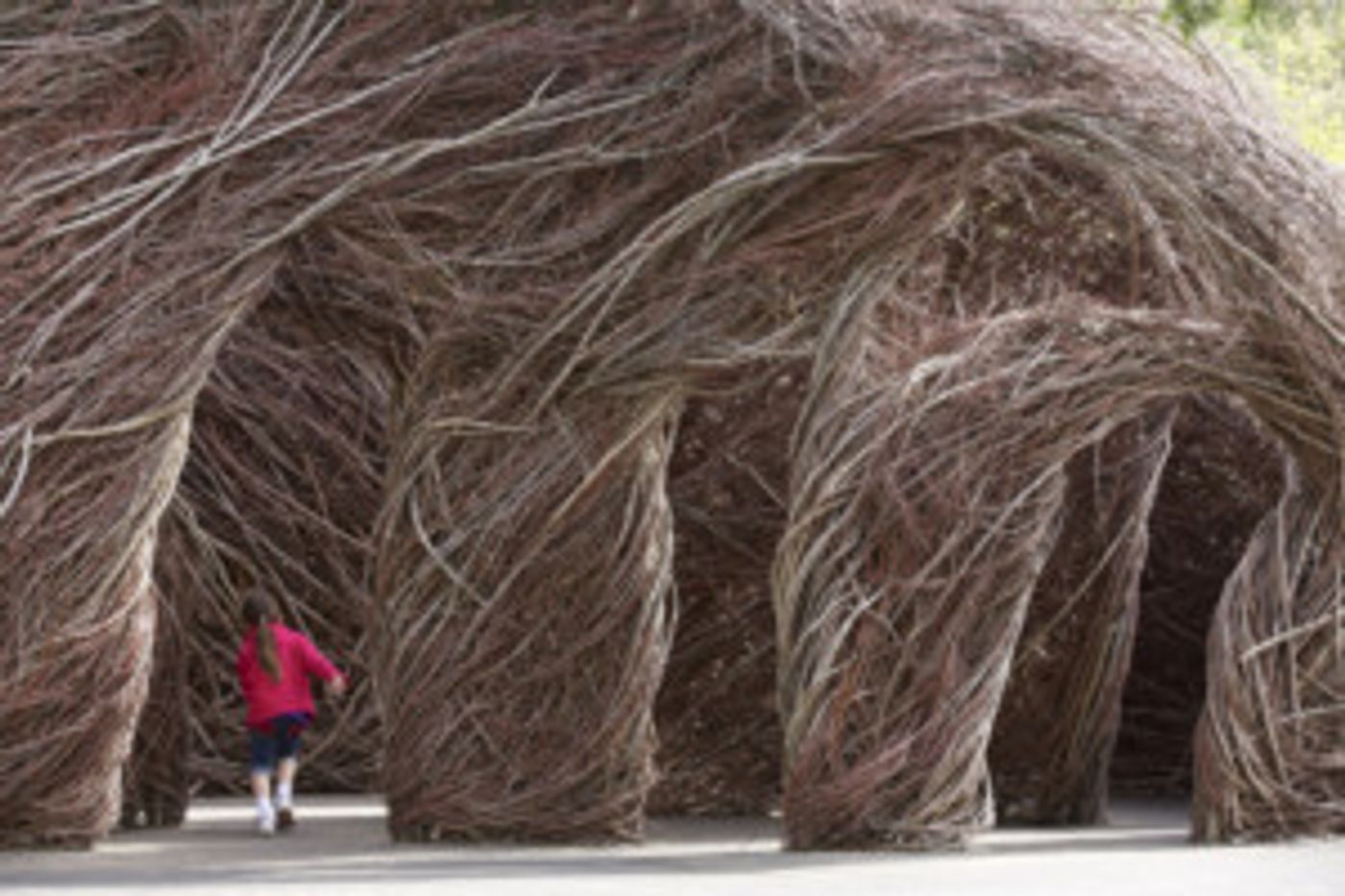 Mounts Botanical Garden Announces its Next Major Exhibition: TWISTED: Patrick Dougherty Entwined  Image