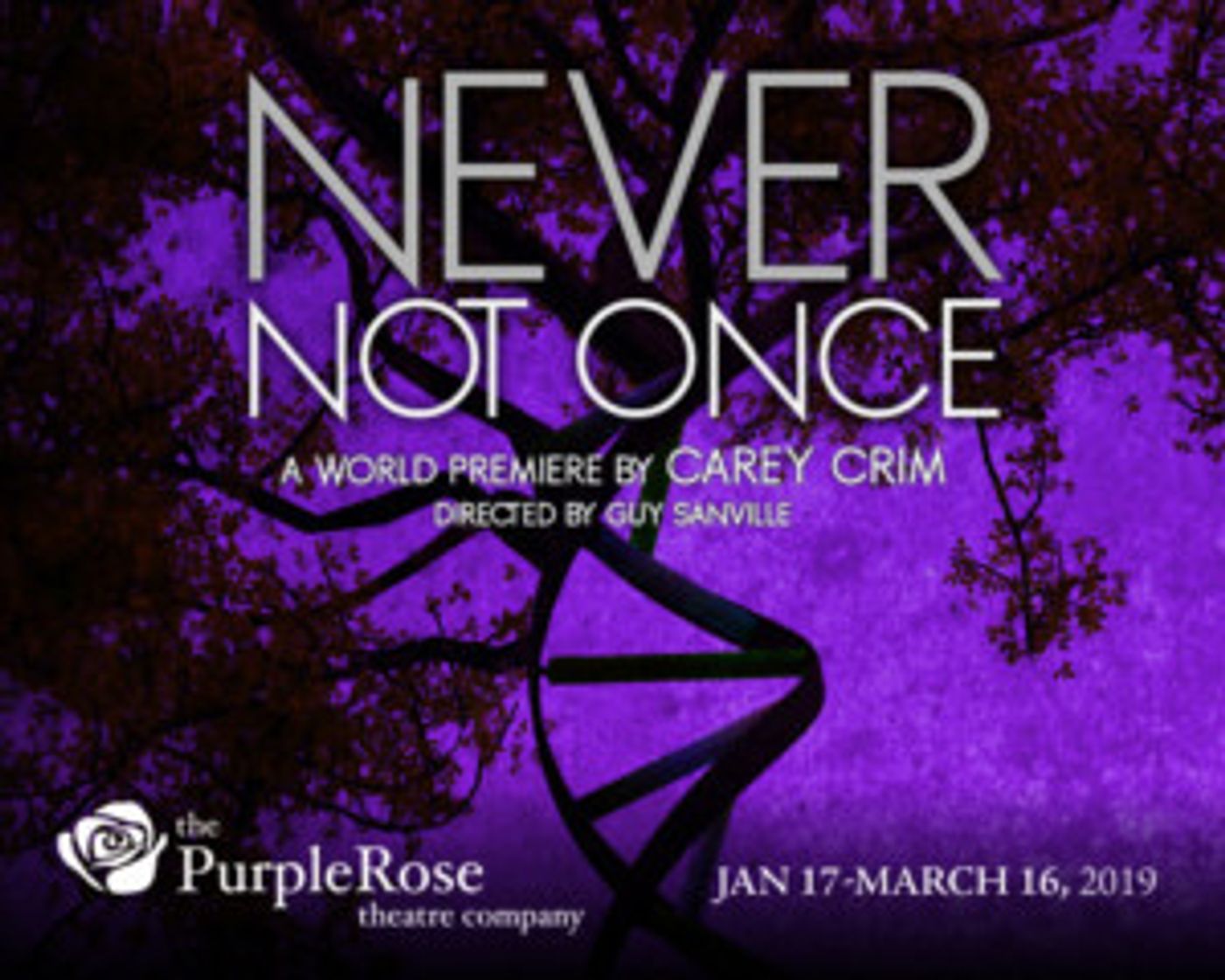 Purple Rose Theatre Opens NEVER NOT ONCE This Month  Image