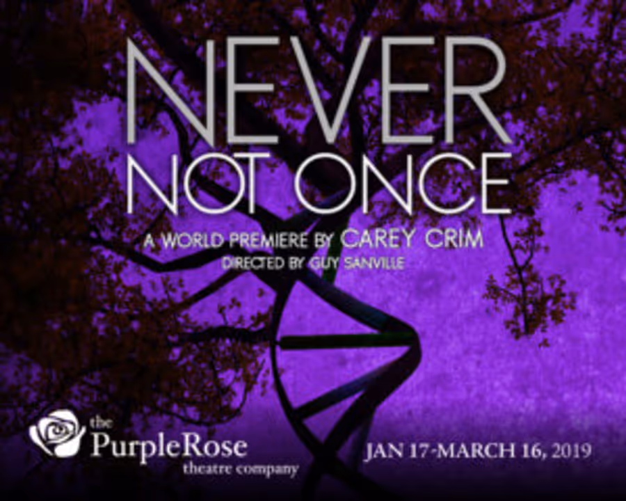 Purple Rose Theatre Opens NEVER NOT ONCE This Month Image