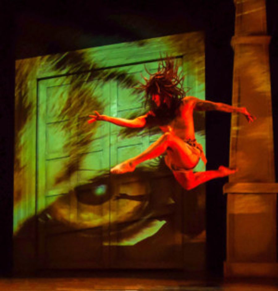 Jackson Resident David Felicie Stars As Mowgli In THE JUNGLE BOOK Image