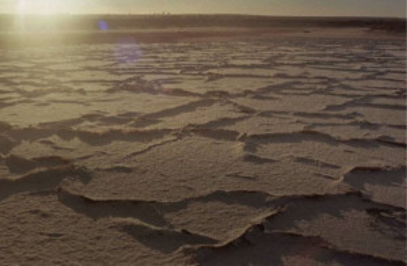 Punctum Presents Punctum Seedpod Residency  Image