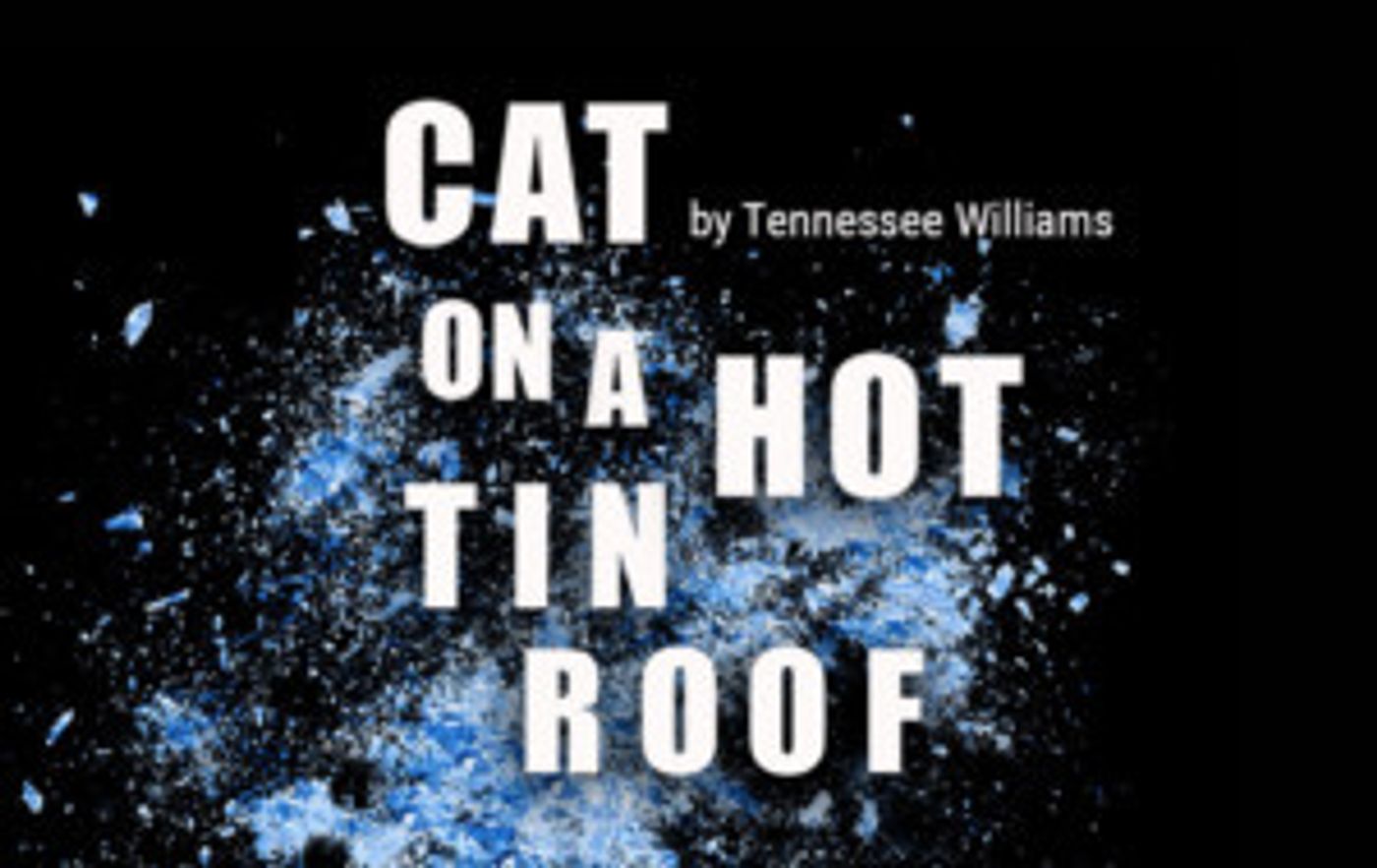 Cast Announced For San Jose Stage Company's CAT ON A HOT TIN ROOF  Image
