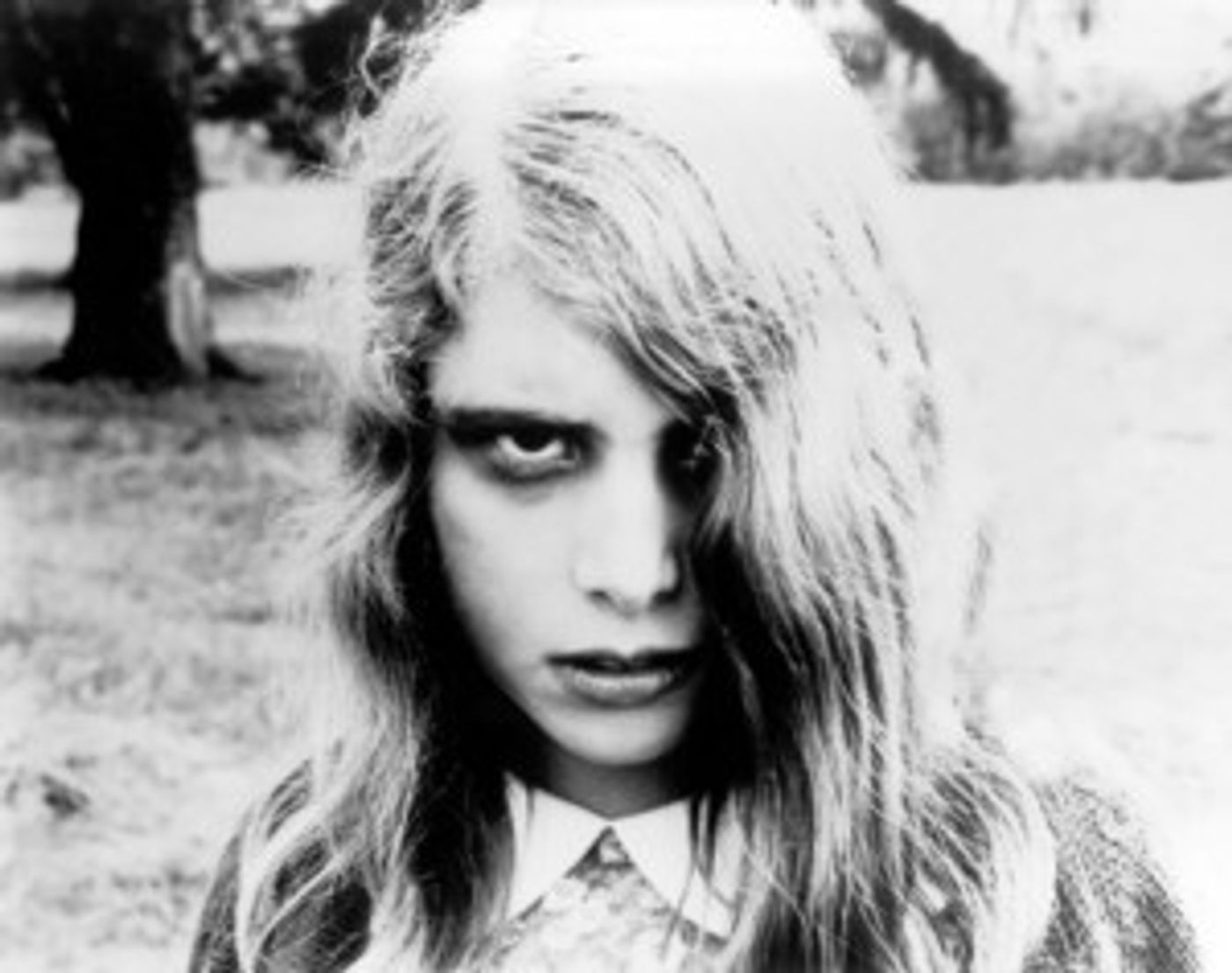 LIVING WITH THE DEAD: THE FILMS OF GEORGE A. ROMERO Comes to BAM  Image