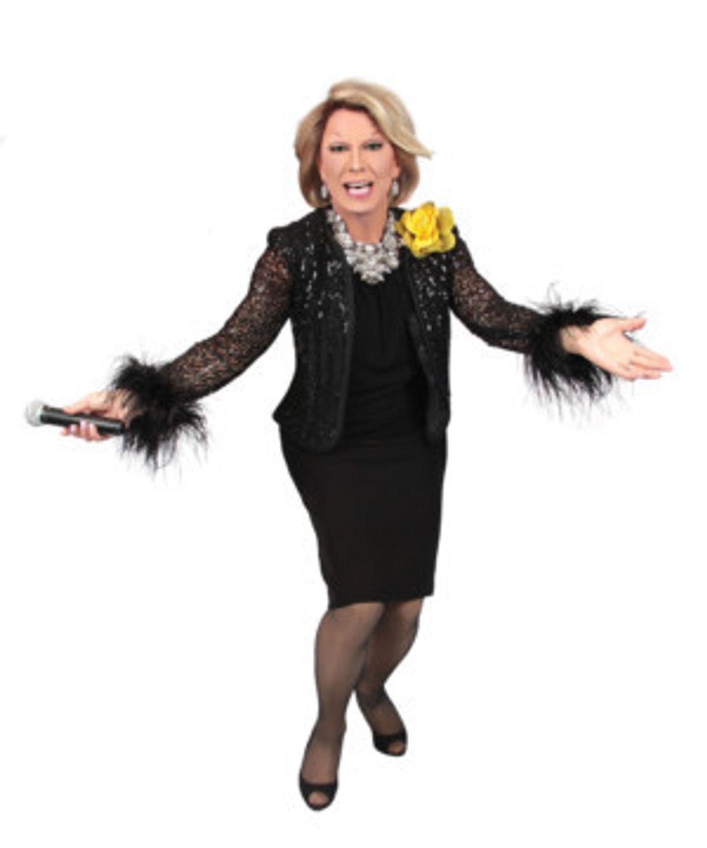 Delray Beach Playhouse Adds Three New Shows to 2019 Season Lineup  Image