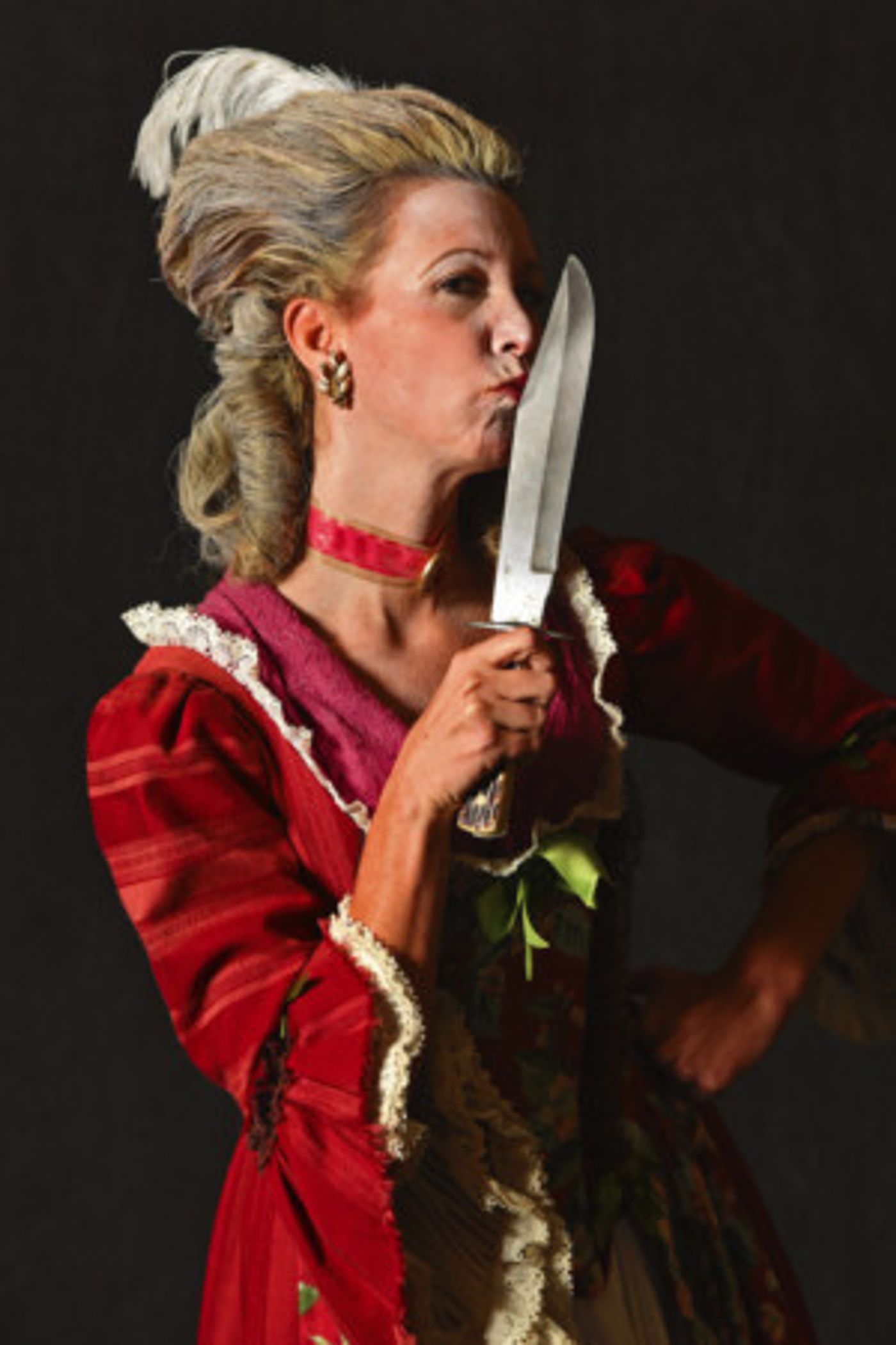 THE REVOLUTIONISTS Announced At The University of South Carolina  Image