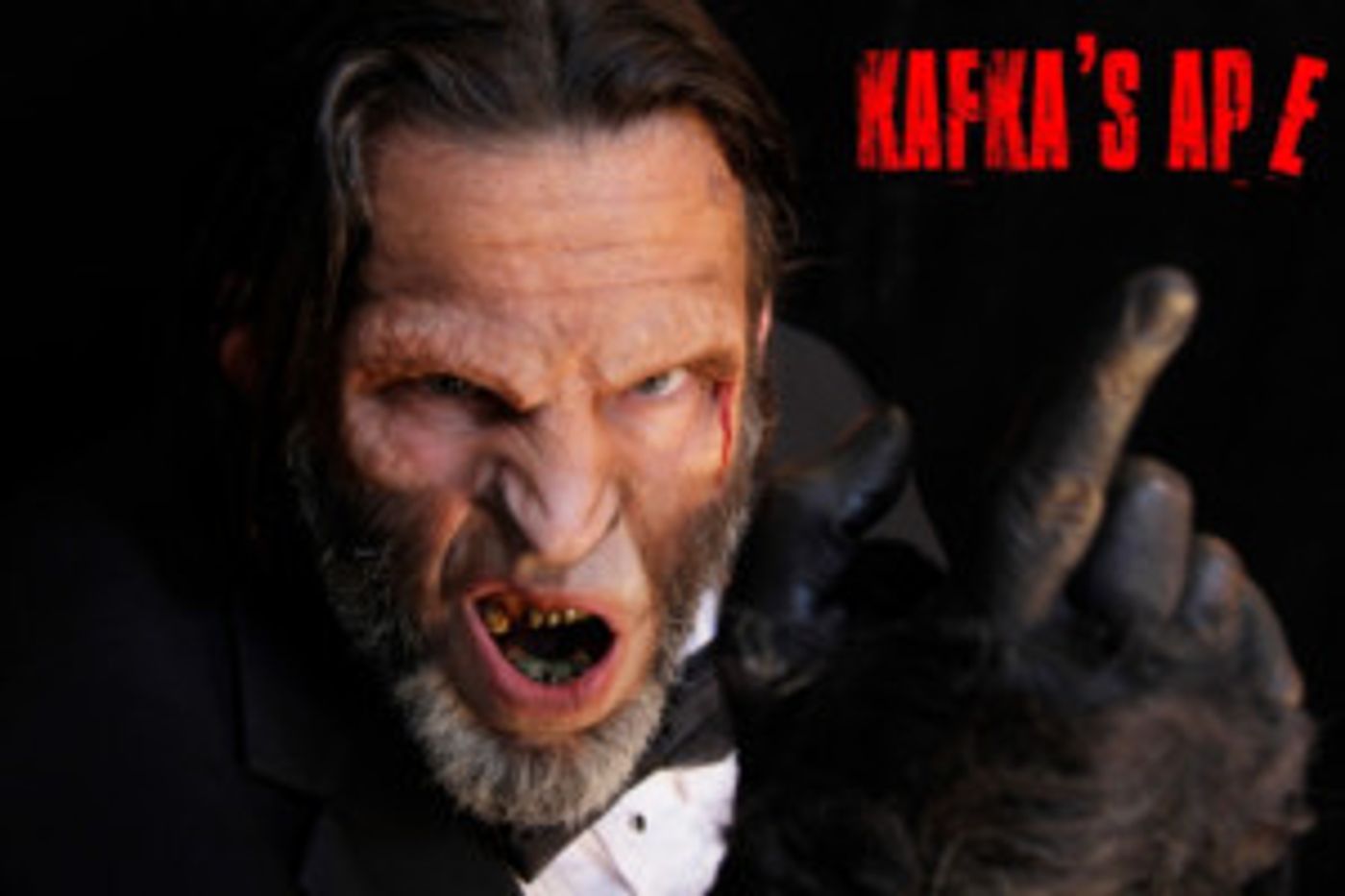 Infinitheatre's KAFKA'S APE Starring Howard Rosenstein Will Embark on Tour  Image