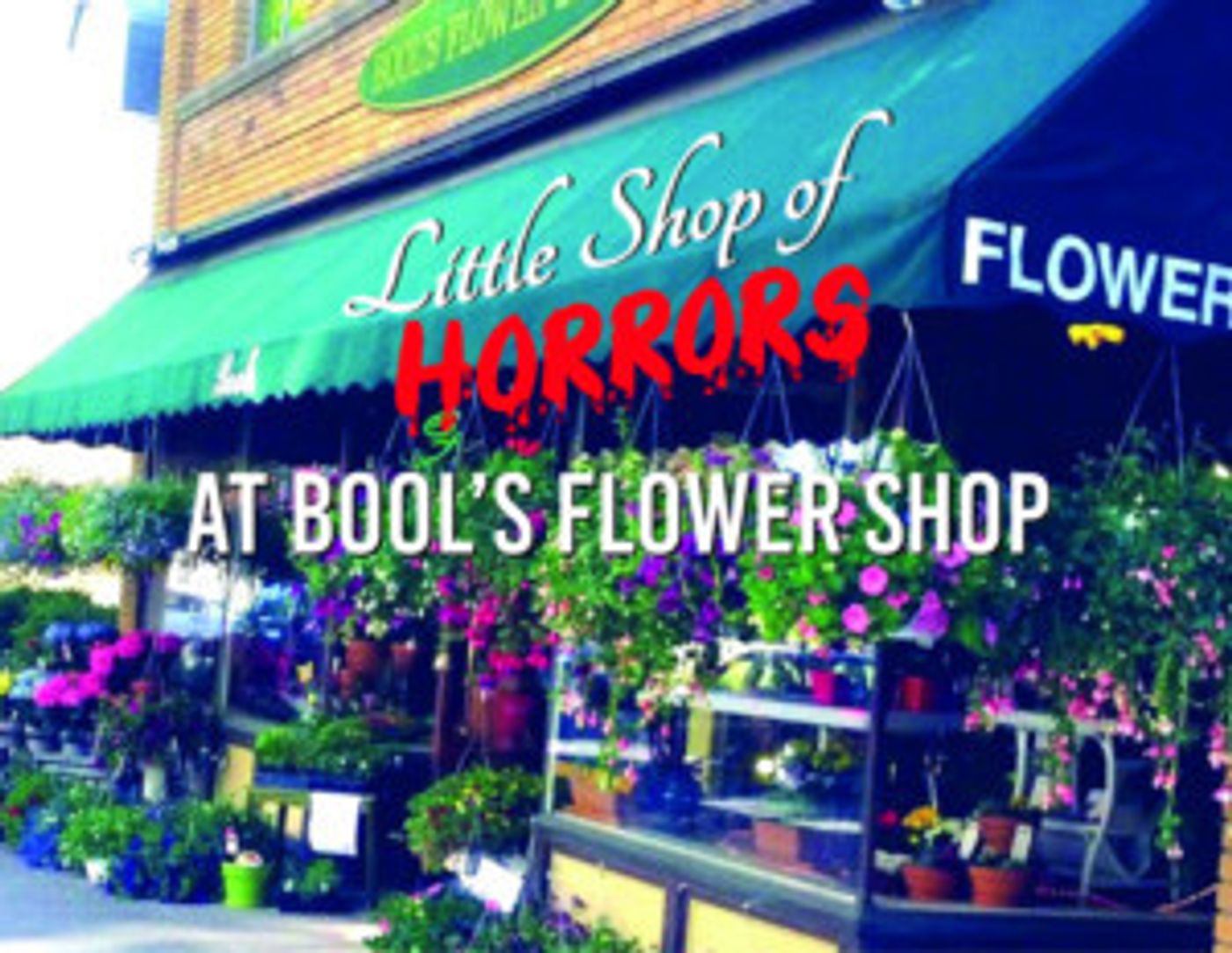 Site-Specific LITTLE SHOP OF HORRORS To Play at a Flower Shop  Image