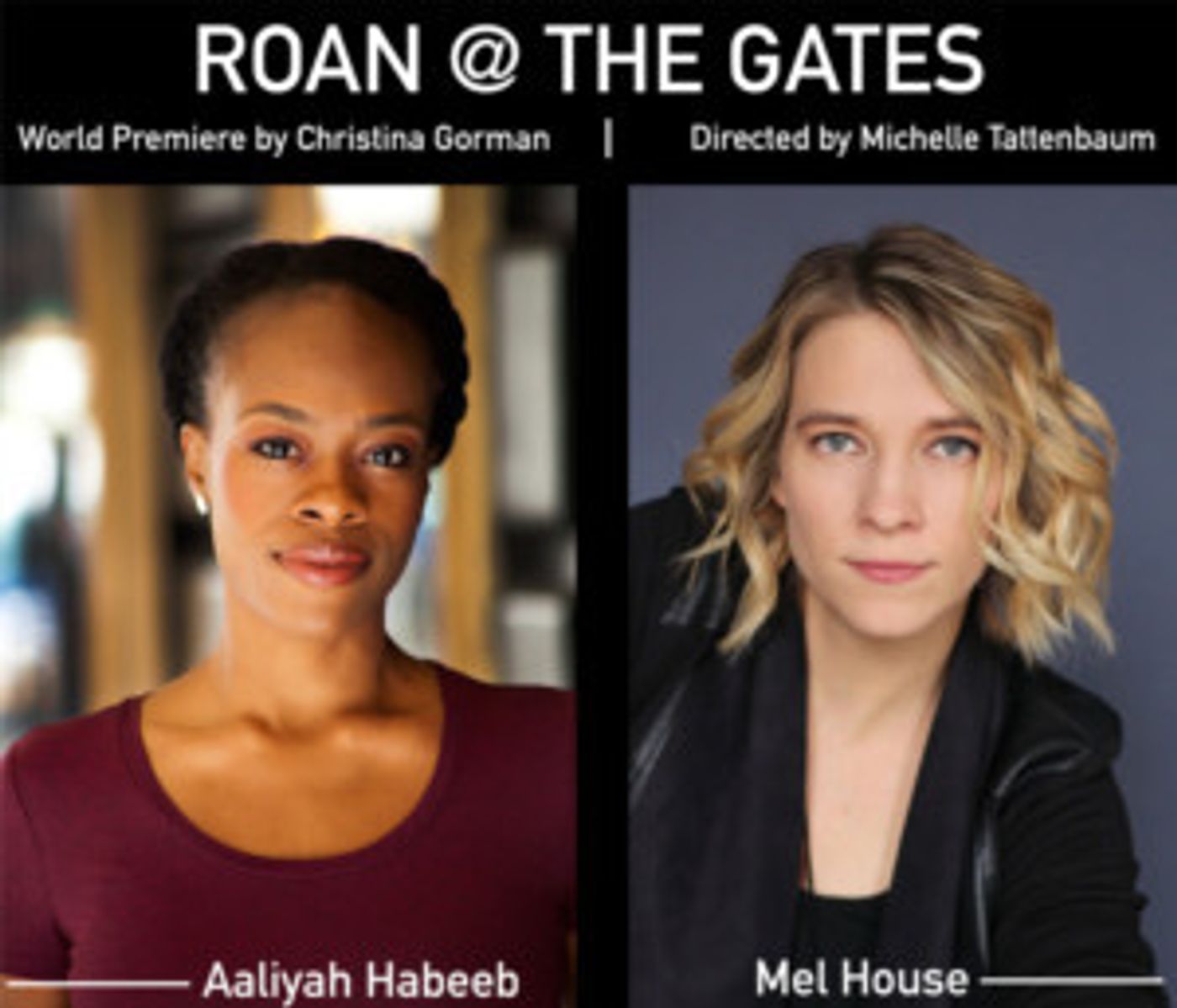 Luna Stage Presents Cybersecurity/Data Privacy Face-Off Following Select Performances of ROAN @ THE GATES  Image