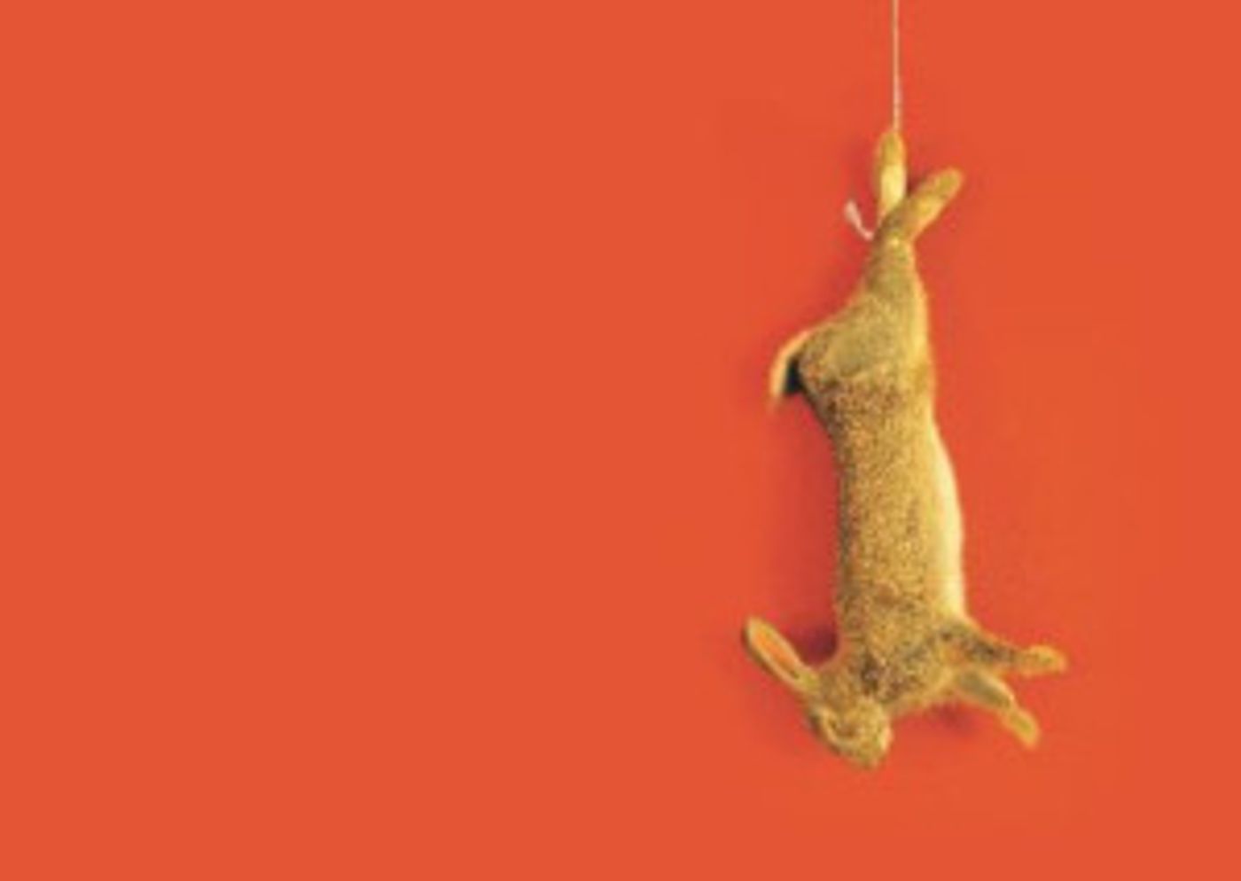 THE NOISES Comes to The Old Red Lion  Image