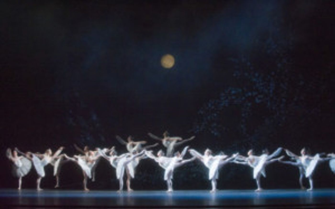 The Royal Ballet's LA BAYADERE Screens In US Cinemas February 19  Image