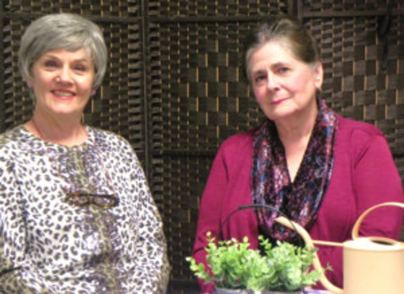 A Classic Theatre Presents Comedy RIPCORD  Image