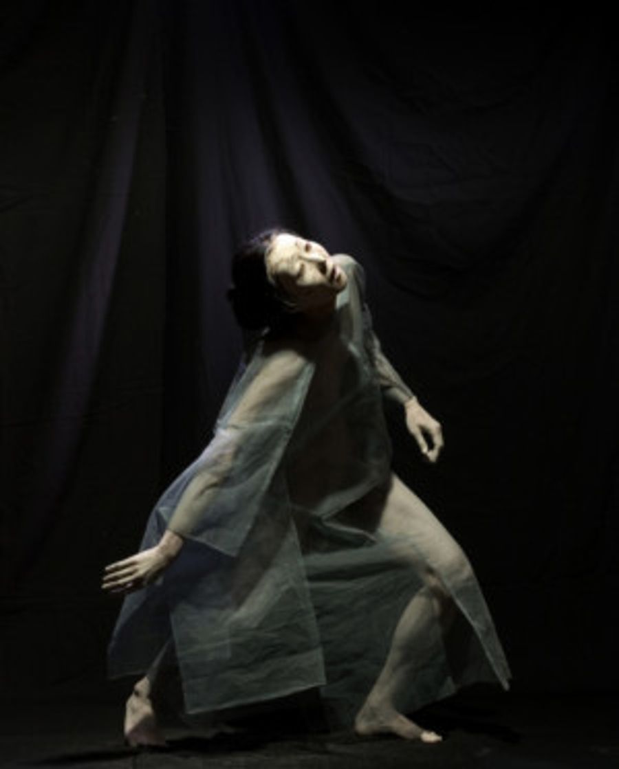 Vangeline Theater And The New York Butoh Institute Present Hitohana Hitosekai And The Workshop Make Visible Image