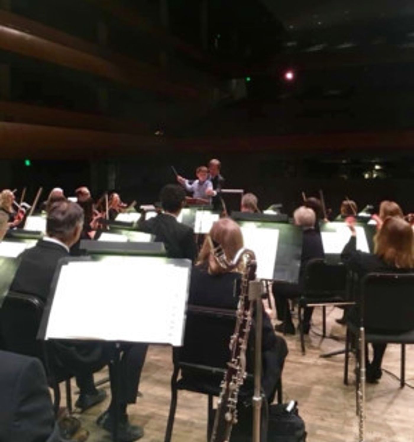 Grand Rapids Symphony Holds Annual Fifth Grade Concert For An Audience Of One.  Image