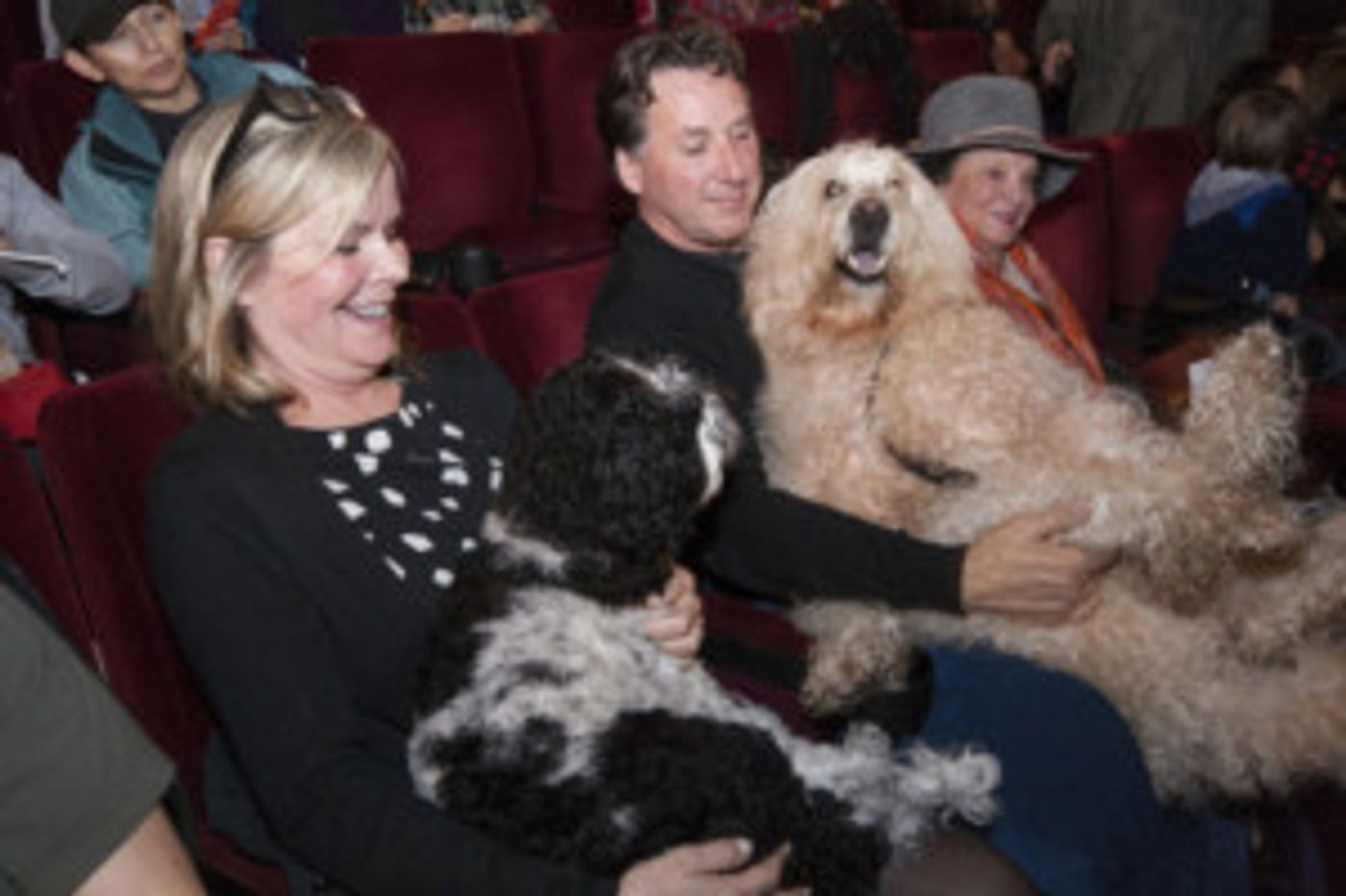 The NY Cat And Dog Film Festival Comes To Larkspur  Image