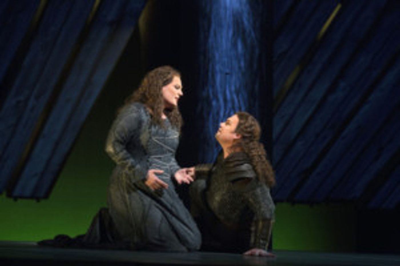 Wagner Returns to Ridgefield Playhouse with Live Simulcast of DIE WALKÜRE  Image