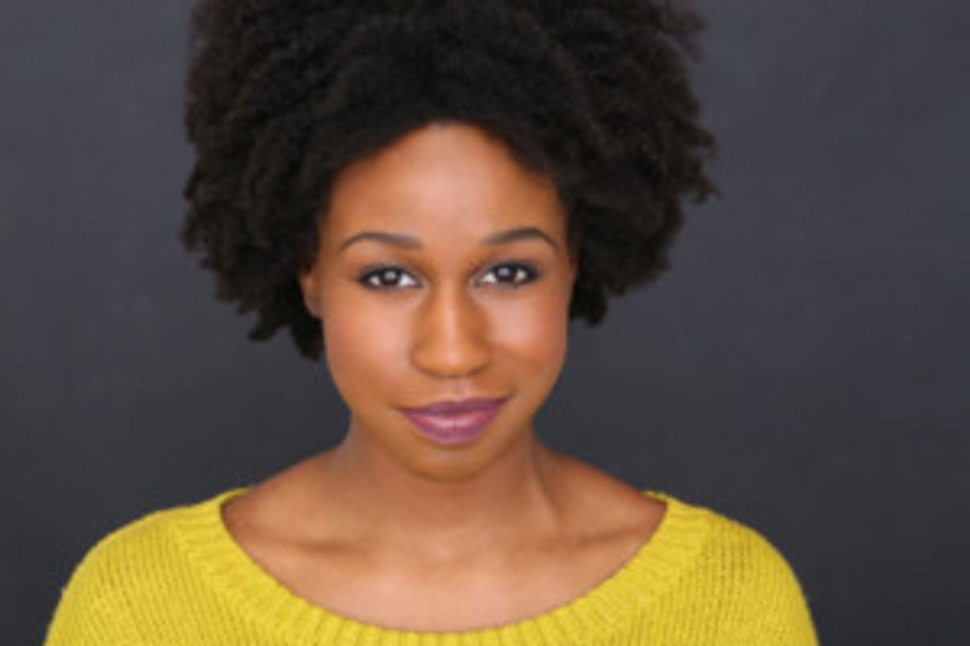 The Media Theatre Revisits The '60's With BEEHIVE Today-31  Image