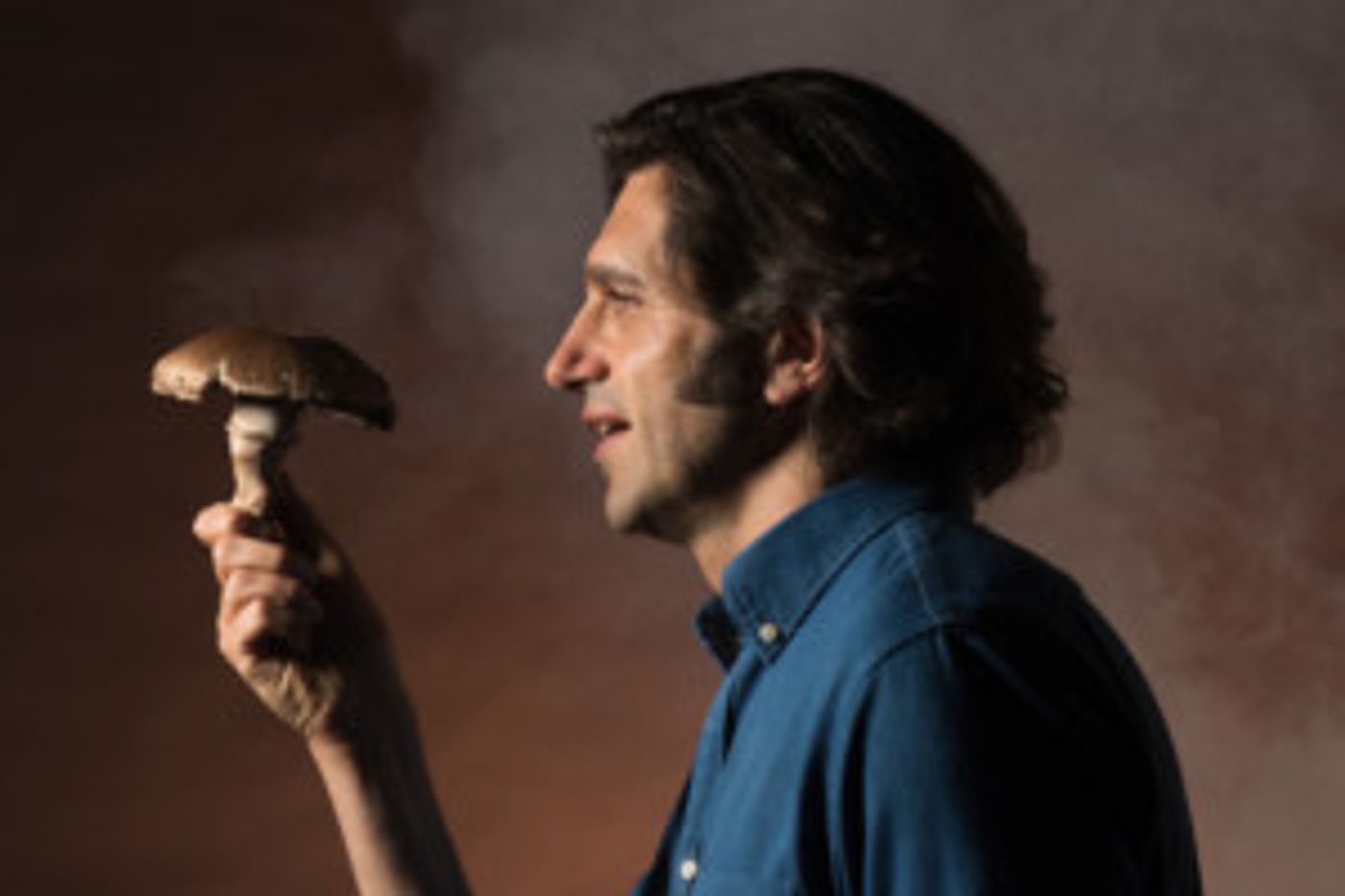 Greenhouse Theatre & The Marsh Present the Chicago Premiere of THE MUSHROOM CURE  Image