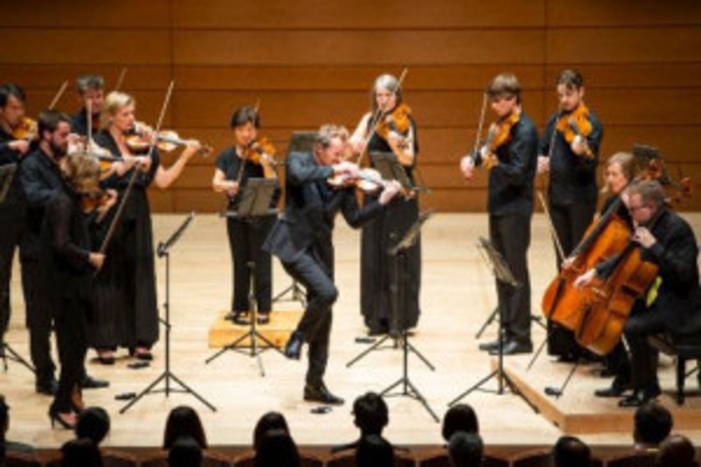 Australian Chamber Orchestra Announces 2019 US Tour  Image